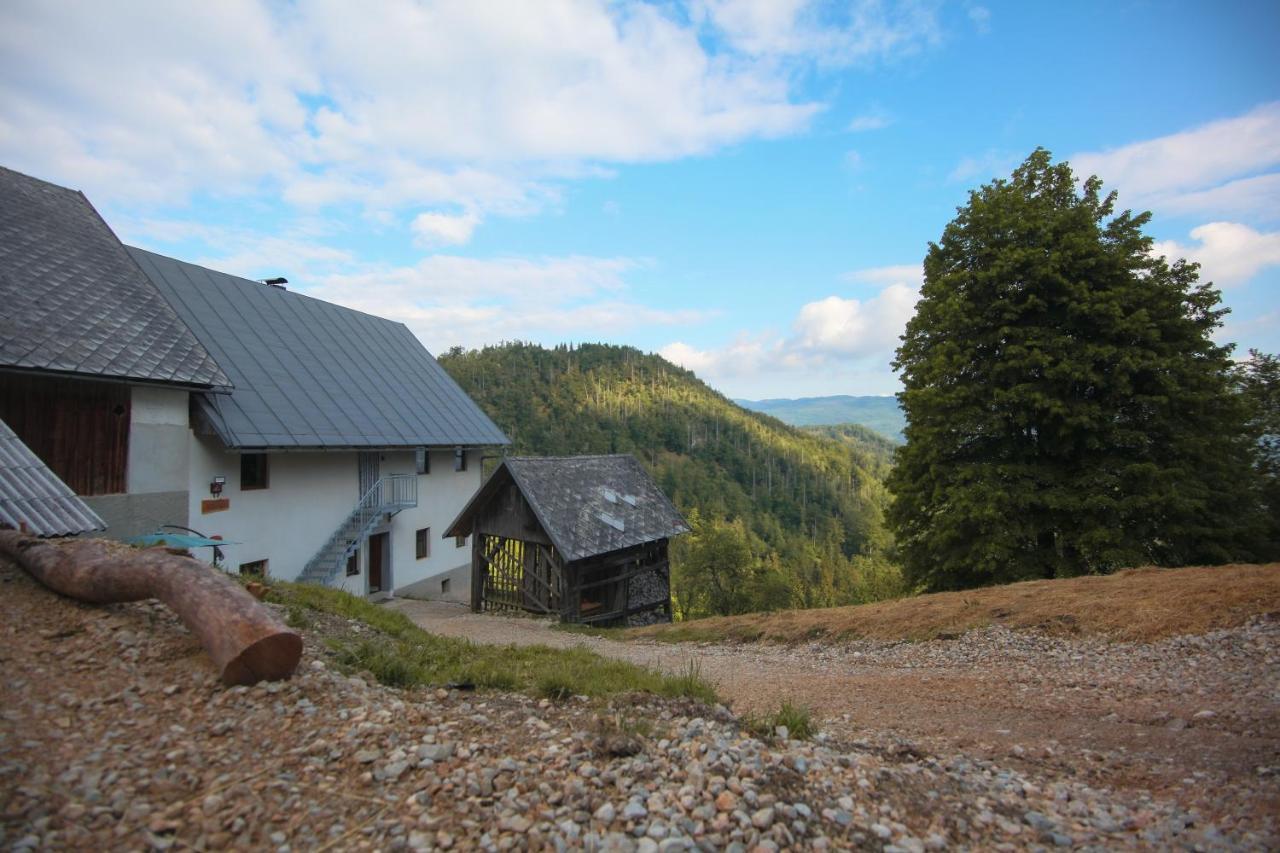 Apartma Gorski Razgled Srednja Vas v Bohinju Exteriér fotografie