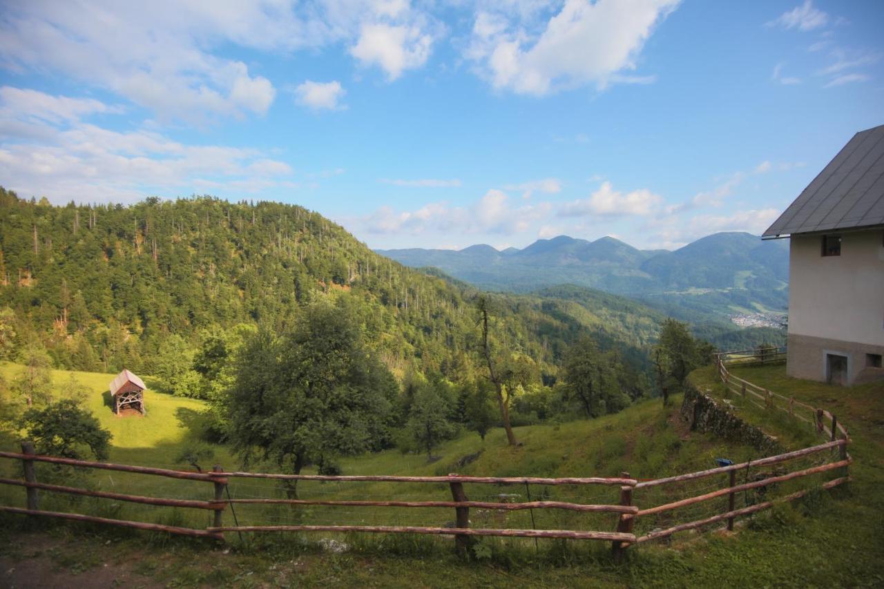 Apartma Gorski Razgled Srednja Vas v Bohinju Exteriér fotografie