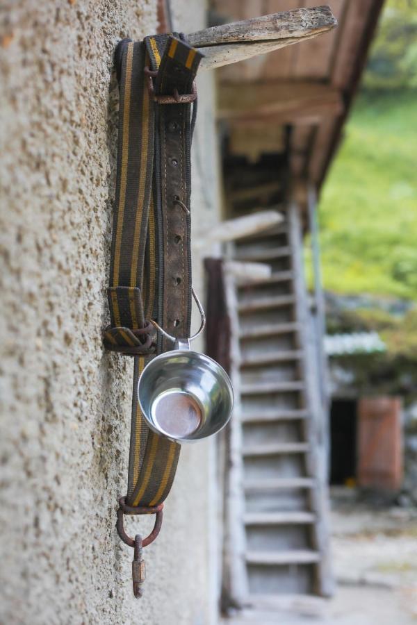 Apartma Gorski Razgled Srednja Vas v Bohinju Exteriér fotografie
