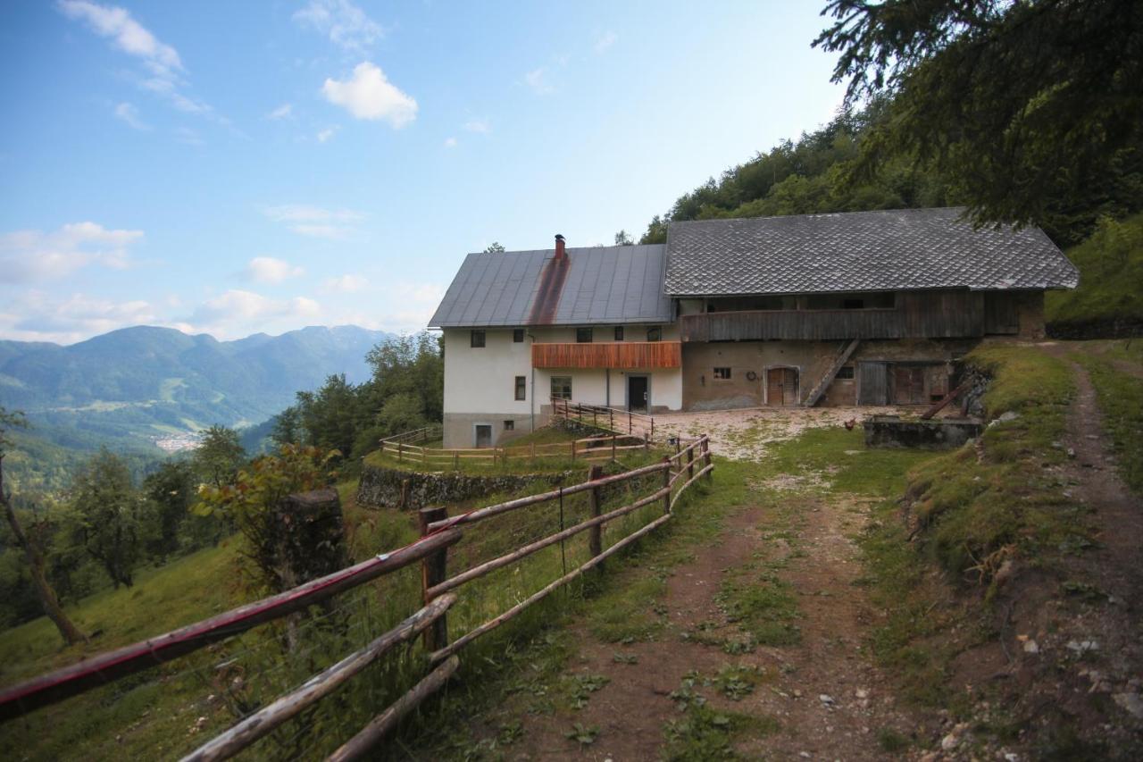 Apartma Gorski Razgled Srednja Vas v Bohinju Exteriér fotografie