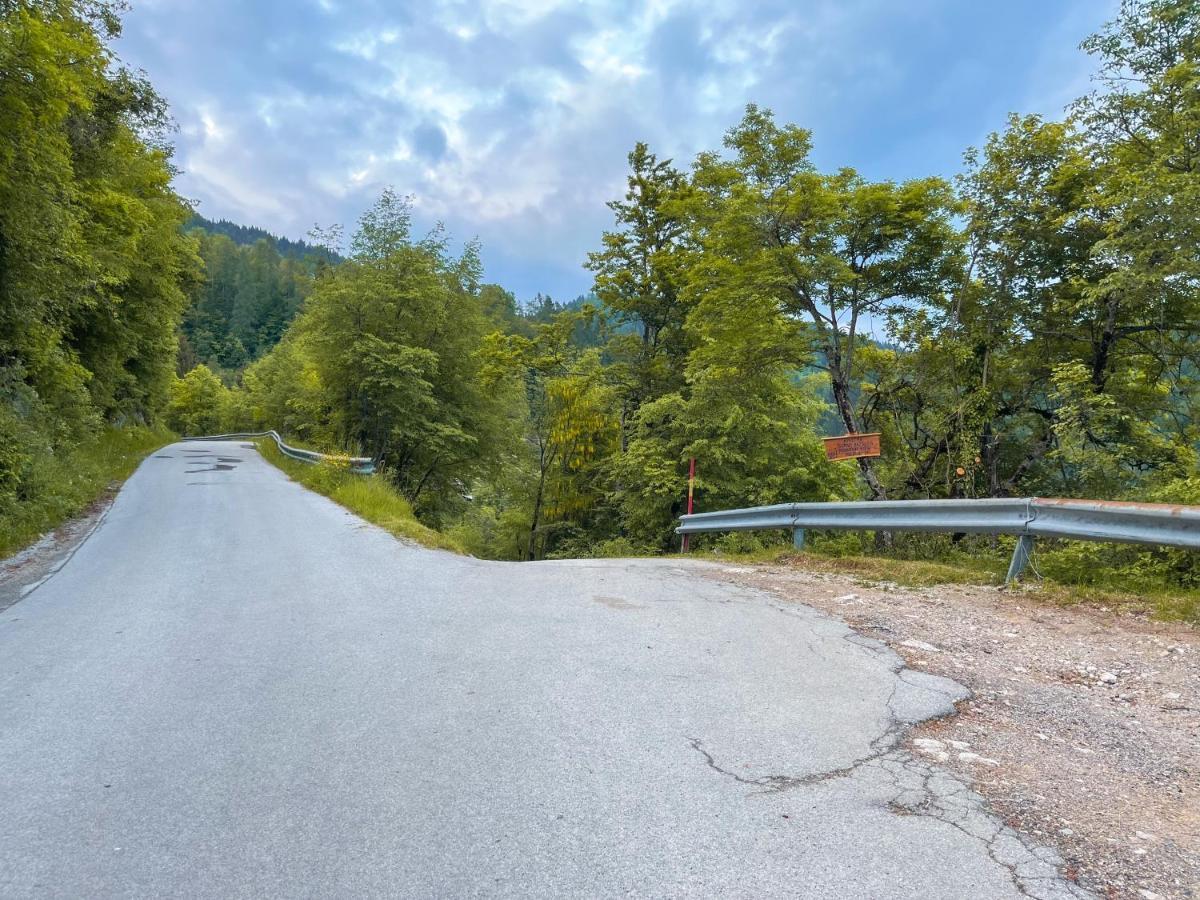 Apartma Gorski Razgled Srednja Vas v Bohinju Exteriér fotografie