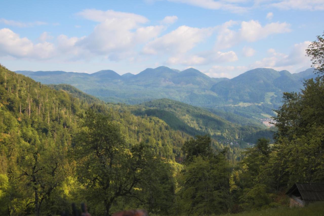 Apartma Gorski Razgled Srednja Vas v Bohinju Exteriér fotografie