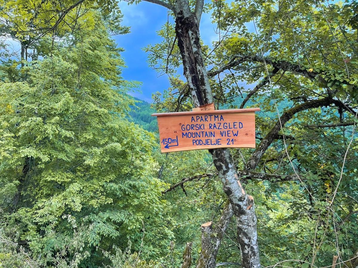 Apartma Gorski Razgled Srednja Vas v Bohinju Exteriér fotografie