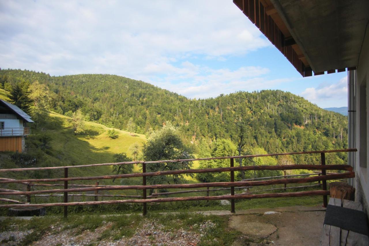 Apartma Gorski Razgled Srednja Vas v Bohinju Exteriér fotografie